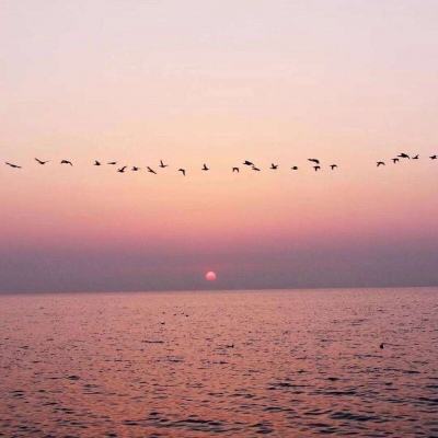 可下分电玩手机app下载